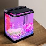 Smart 4 Gallon Desktop Betta Office Fish Tank