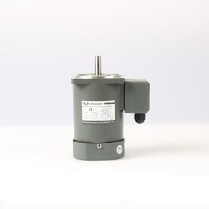 Quality 50 60Hz Single Phase Asynchronous Motor 22Nm wholesale