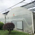 Modern Farming Agricultural Poly Tunnel Plastic Film Tomato Greenhouses