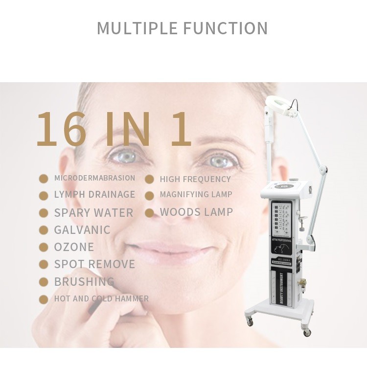 16 In 1 Multi Function Beauty Salon Instrument Magnifying Lamp Facial Steamer Ozone