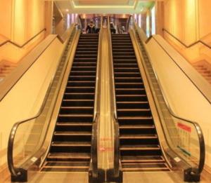 Quality 35 Degree 1000mm Step Electric Escalator Stainless Steel Grocery Cart Escalator wholesale