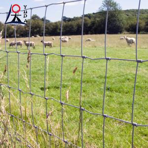 China High Tensile Field Fence Galvanized Wire Woven Fixed Knot Goat Cattle Mesh on sale