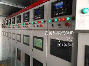 Quality Biogas Cogeneration Combined Heat And Power 50kw 5000kW wholesale