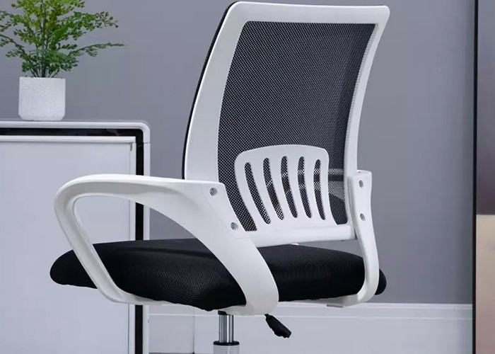 Swivel Backrest Five Claw Computer Office Chair