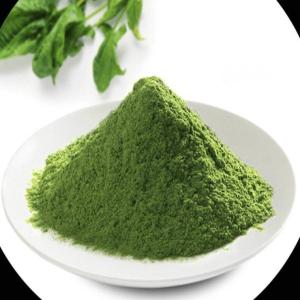 Quality Fresh Vegetable Spinach Powder Bulk Organic Red Spinach Extract wholesale