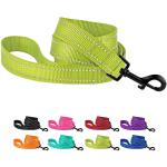 Heavy Duty Nylon Dog Leash