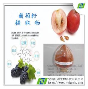 Quality Grape Seed Extract For Skin Wrinkles wholesale