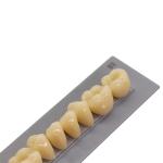 High Durability Artificial Acrylic Teeth VITA High Stain Impact Resistance