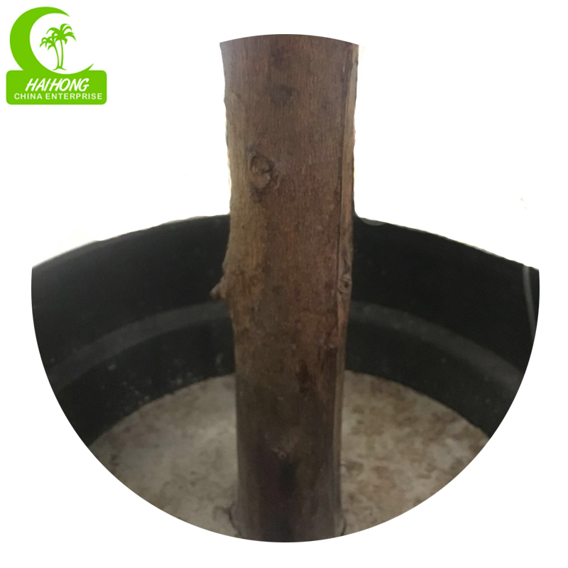 Artificial Olive Tree for Decoration Olive Bonsai Olive Tree