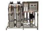 Automatic SS304 316 1000L/H Water Treatment Plant RO Water Filter System