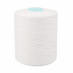 Raw white 20/2 30/2 40s/2 100% Polyester Ring Spun Yarn Price