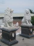 One Pair White Villa ISO Small Marble Lion Statue Stone Carving Sculpture