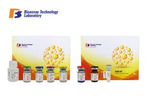 Quality Human 5-NT Sandwich Immunosorbent Assay Kit / Immunoassays Test Kit Customized wholesale