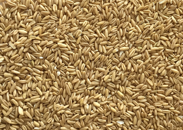High-Tech PLC Oats/Oatmeal/Hot Cereals Color Sorter Avena Sativa Sorting Machine