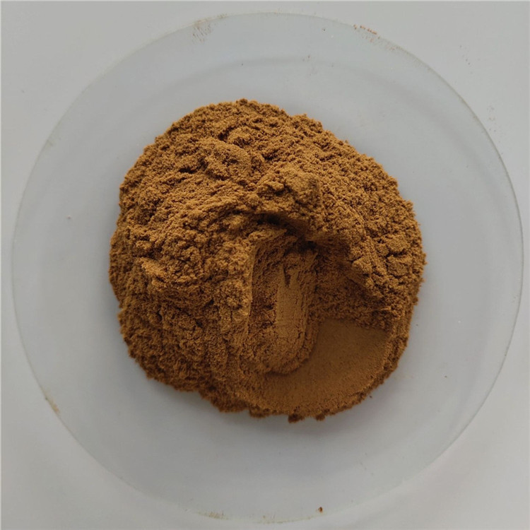 Hot Sale Lose Weight Fast Diet Hoodia Cactus Extract