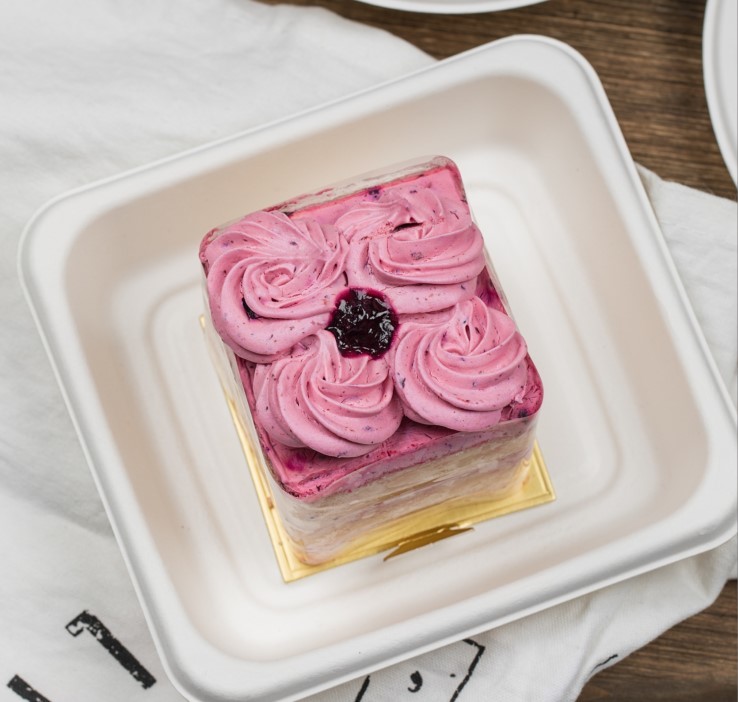Cake Holder Biodegradable Sugarcane Plates 133x112x16mm