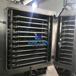High Safety Commercial Freeze Drying Equipment , Fruit Vacuum Freeze Drying