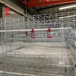 Poultry Farm Broiler Chicken Cage 3 Tiers , A Type Battery Cage For Broilers