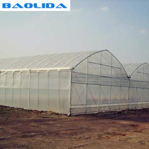 Quality Large Steel Frame High Tunnel Double Film Double Arch 4.5m Multi Span Greenhouse wholesale