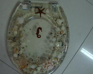 Quality color toilet seat,17'18'19'Uropean standard,USA stardard,seahorse design wholesale