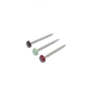 Quality Annular Ringed A4 Stainless Steel Plastic Head Pins For Construction Fixing wholesale
