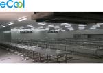 Automatic 2000 Tons Meat Processing Plant Cold Room Storage For Meat Products