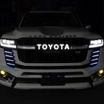 5310160J00 Toyota Land Cruise 300 Compatible Front Bumper Grille Black/White
