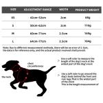 XXS-XXL Reflective Leash And Collar Nylon Four Legged Hi Vis Dog Leads
