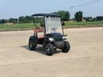 Off-road 2 Seater Golf Buggy Rechargeable Good Quality Golf Sightseeing Car