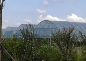 Quality Arch Type Po / PE Film Greenhouse Agricultural Multi Span Tunnel Good Stability wholesale