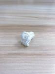 White Female Car 2 Pins Connector / 2 Pins Automotive Connector