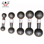 Round Head Fitness Equipment Dumbbells Perfect Handfeeling For Power Training