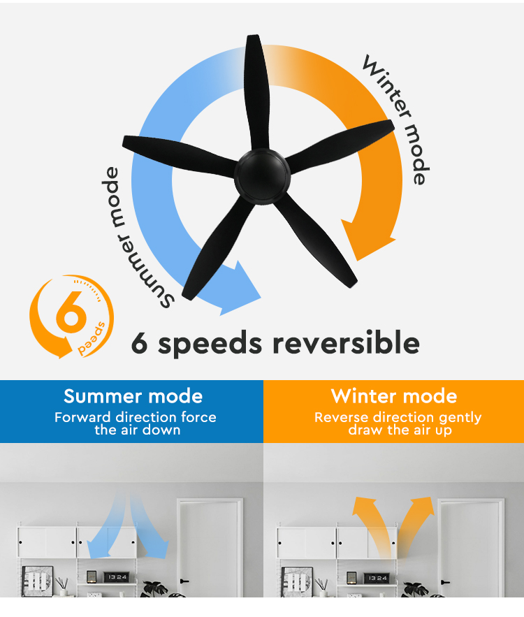 ceiling fan