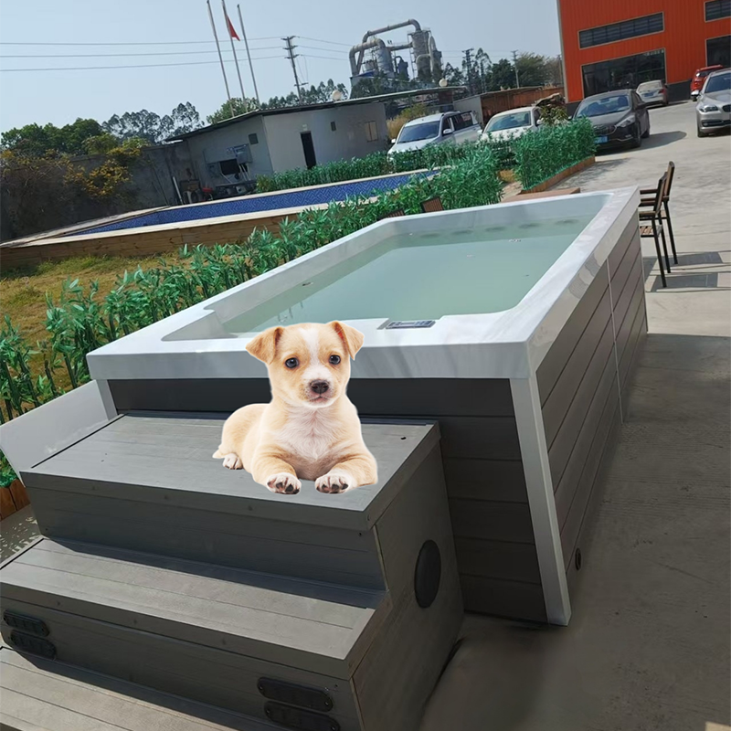Acrylic Doggy Pet Swimming Pool for Dog Water Playing