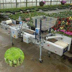 Quality Seeding Vegetable Seeds Machinery for Fast Seeder 1020 Tray in Machinery Repair Shops wholesale