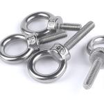 M4-M72 SS304 Stainless Steel Eye Bolt Drop Forged Din 580 Lifting Eye Bolt
