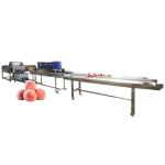 Hot selling Fruit Vegetable Bubble Washing Machine Suppliers by Huafood