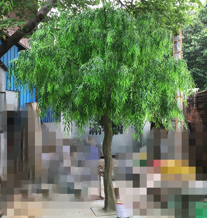 T201033 willow leaves 1.jpg