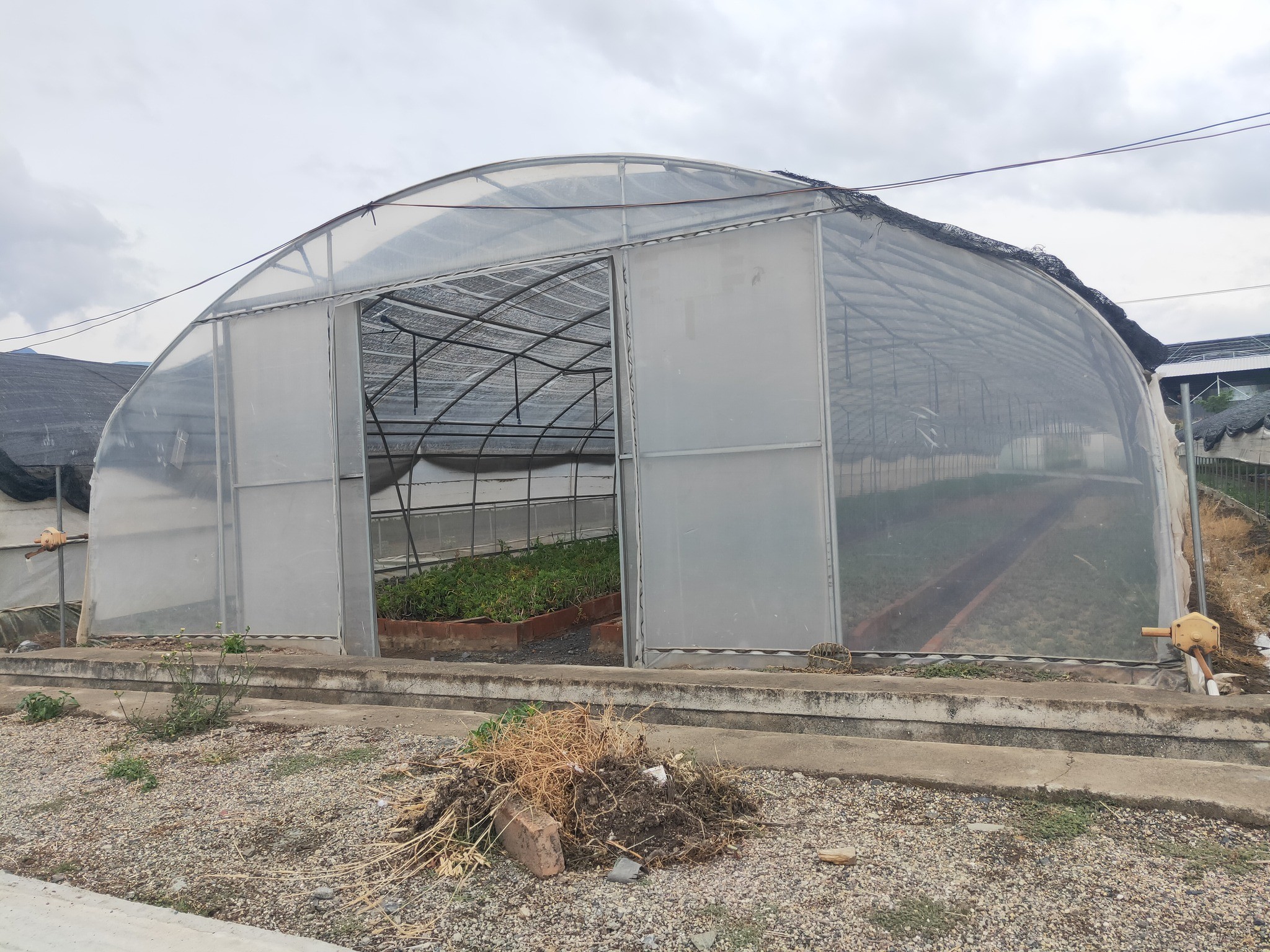 High Quality Clear UV Resistant Greenhouse Film Plastic Agriculture For Strawberry Flower Hydroponic