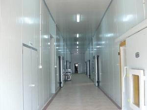 Quality Medical Cold Storage Panel Food Slaughtering Cold Chain Special Board Purification Board wholesale