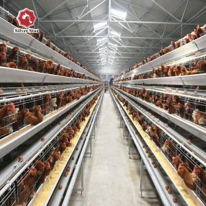 Quality 2.15M Length Layer Battery Chicken Cage A Type 3 Tiers wholesale