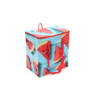 Quality Waterproof Printed Aluminum Foil Non Woven Picnic Cooler Bag wholesale