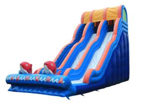 Quality Garden Outdoor Inflatable Water Slide , Big Party Cartoon Toddler Water Slide wholesale