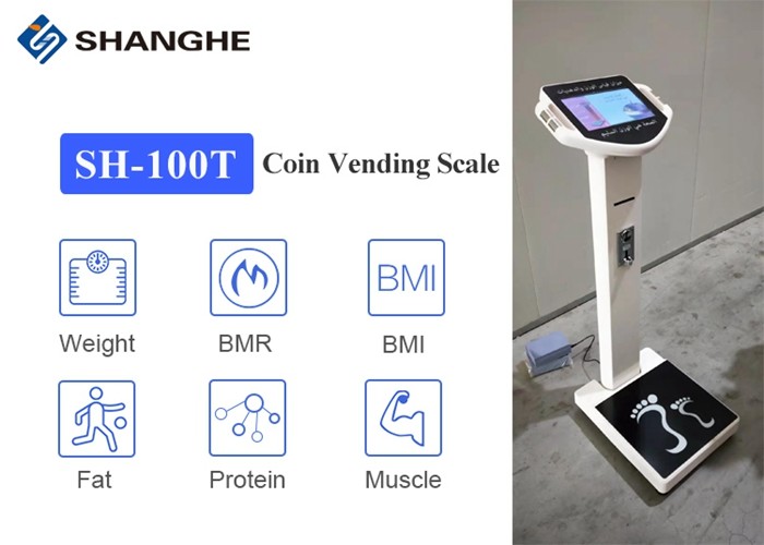 Smart Digital Measuring Adult RS232 Body Fat Analyzer Scale
