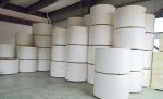 4 Kw Automatic Paper Cup Die Cutting Machine HLD - 850 High Speed