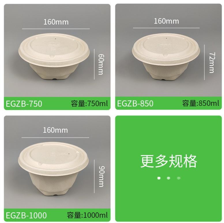 160*39mm Biodegradable Takeaway Food Containers 500ml ISO9001