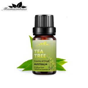 Quality Skin Tea Tree Essential Oil 100% Pure Organic Essential Oil 1kg OEM / ODM wholesale