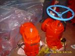 API 6A Positive Choke Assy