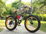 1000w 26 Inch Electric Fat Bike