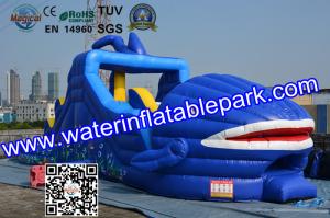 Quality Shark Huge little tikes Inflatable Slide For Water Theme Park wholesale